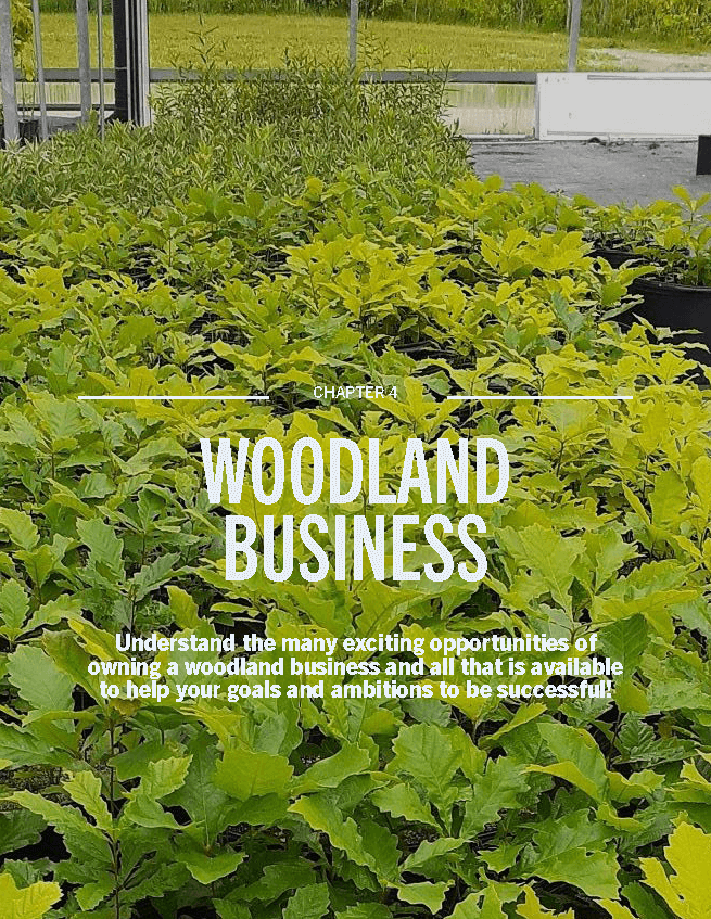 Page Ontario Woodlander Article March 2022 (2)_Page_49.png